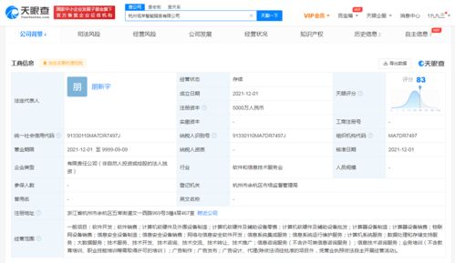 阿里新設智能服務公司，拓展大數據與信息技術咨詢業務